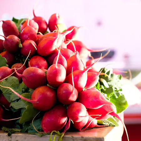 Octant Monte Hotell Moncarapacho